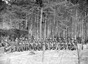 Thumbnail of Company F,  114th Pennsylvania Infantry (Zouaves) with fixed bayonets